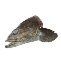 Frozen - Fresh Cut Ling Cod Head, 1 Pound