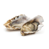 Oysters - Regular 8oz Tub, 1 Each