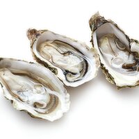 Quality Foods - Oysters Medium Beach Run Single, 1 Each