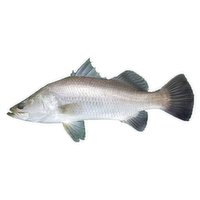 FRESH - Barra Fish, 1 Pound