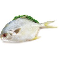 Frozen - Golden Pompano, 318 Gram