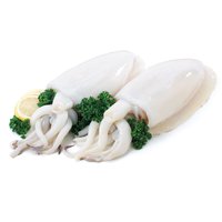 Frozen - Cuttlefish-Whole, 600 Gram