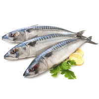 Save-On-Foods - O/W Mackerel (Whole) Norway, 1 Pound