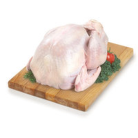 Turkey - Whole Fresh Grade A 8kg and Up, 10 Kilogram