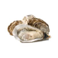 Save-On-Foods - O/W Live Shell Oyster Extra Large, 1 Each