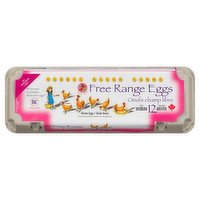 Rabbit River Farms - Eggs Free Range Medium, 12 Each