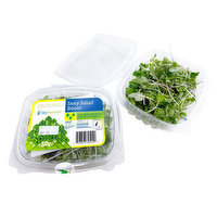 Sky Harvest - Microgreens Sexy Salad Boost Organic, 50 Gram