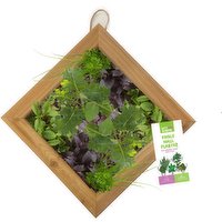 Lettuce Garden - 16 Inch Edible Wall Planter, 1 Each