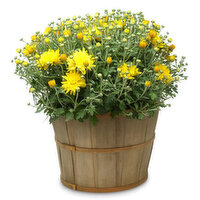 Mum - 10 Inch Fall Bushel Basket, 1 Each