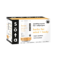 Sota - Sparkling Tea & Adaptogens Focus Organic, 6 Each