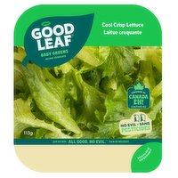 GoodLeaf Farms - Cool Crisp Lettuce, 113 Gram