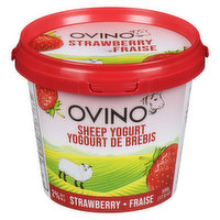 Ovino - Strawberry Yogurt, 500 Gram