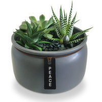 Horty Girl - Ceramic Planter with Succulents 7In, 1 Each