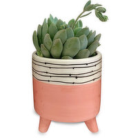 Planter - Pink Black White Ceramic with Legs, 1 Each