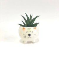 Horty Girl - Ceramic Animal Planter, 1 Each