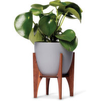 Horty Girl - Ceramic Potted Plant with Wooden Stand, 1 Each