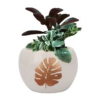 Horty Girl - Round Ceramic Leaf Succulent Garden 3Inch, 1 Each