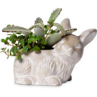 Horty Girl - Cement Bunny Planter, 1 Each