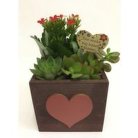 Horty Girl Horty Girl - Wood Planter with Succulent, 1 Each