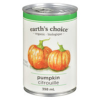 Earths Choice - Pumpkin Puree Organic, 398 Millilitre