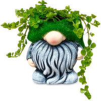 Mossy Gnome - Assorted Ferns & Tropicals, 2In