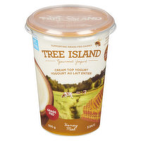 Tree Island - Cream Top Yogurt Honey 3.5% M.F., 500 Gram