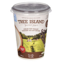 Tree Island - Cream Top Yogurt Vanilla 6.5% M.F., 500 Gram