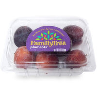Family Tree Farms - Plumcots, 1bs