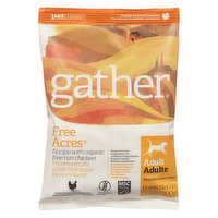 Gather - Adult Dog Food Chicken Recipe Organic, 100 Gram