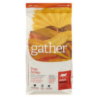 Gather - Adult Cat Food Chicken Recipe Organic, 3.63 Kilogram