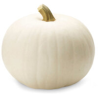 Pumpkin - Snowbaby White Squash, 1 Each