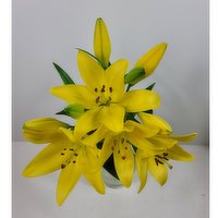 Hybrid Lily - 3 Stem, 1 Each