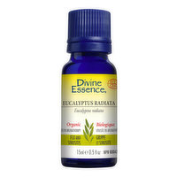 Divine Essence - Divine Ess Oil Org Radiata Euclypts, 15 Millilitre