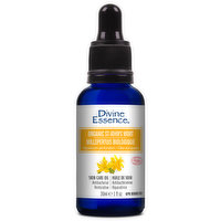 Divine Essence - Vegetable Oil St Johns Wort, 30 Millilitre