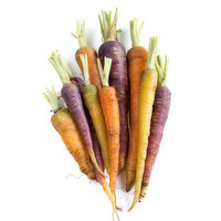Carrots - Rainbow Organic Bag