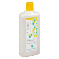 Andalou Naturals - Sunflower & Citrus Shampoo Brilliant Shine, 340 Millilitre