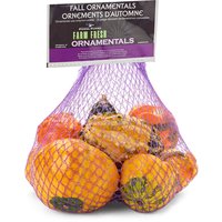 Farm Fresh - Gourds, Fall Ornamentals, 8 Each