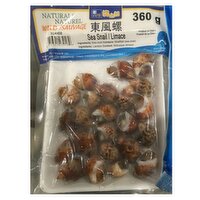 Frozen - Cooked Sea Snail, 300 Gram