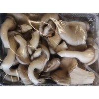 Fresh - Oyster Mushroom, 200 Gram