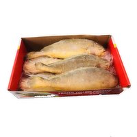 Frozen - Yellow Croaker 150-250, 2.4 Pound