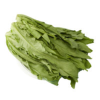 Fresh - A Choy