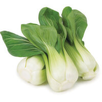 Bok Choy - Shanghai, Fresh, Bunch