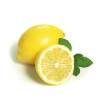 Lemons Lemons - Large Fresh, Each, 1 Each