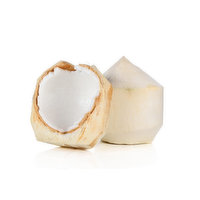 Coconut Coconut - Young, Fresh, 1 Each