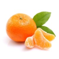 Fresh - Tango Mandarin, 1 Pound