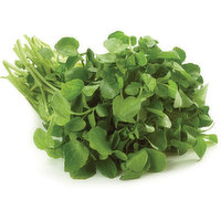 Fresh - Watercress, 1 Each