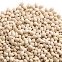 Navy Beans - Small White Bean , Bulk