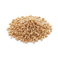 Grain - Kernels Hard Spring Wheat Organic, 1 Kilogram