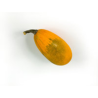 Squash - Orangetti Organic