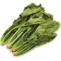 Long Stem - Spinach, 453.59 Gram